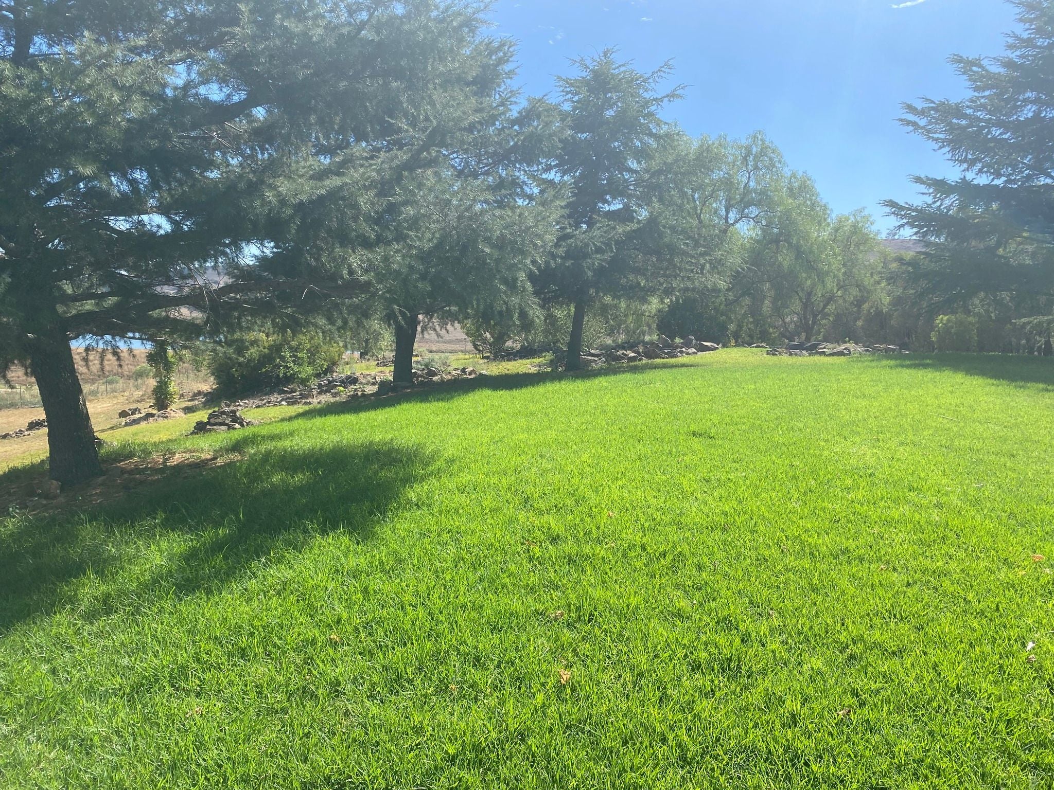 Dubbo Zoo 2025 Image -67de04a2d6f38